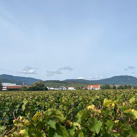 Oasis Tout Confort A Bergheim, Alsace Exteriér fotografie
