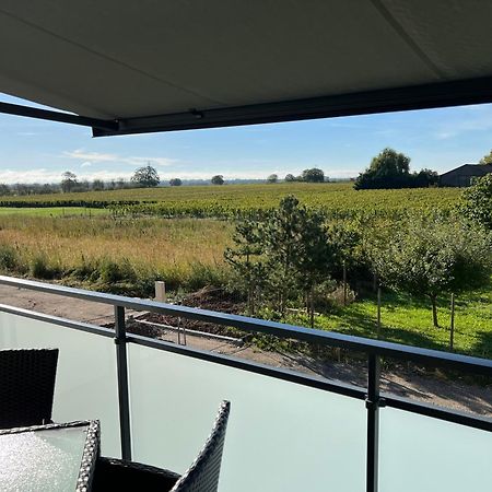 Oasis Tout Confort A Bergheim, Alsace Exteriér fotografie